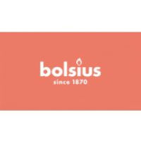 Bolsius International B.V.